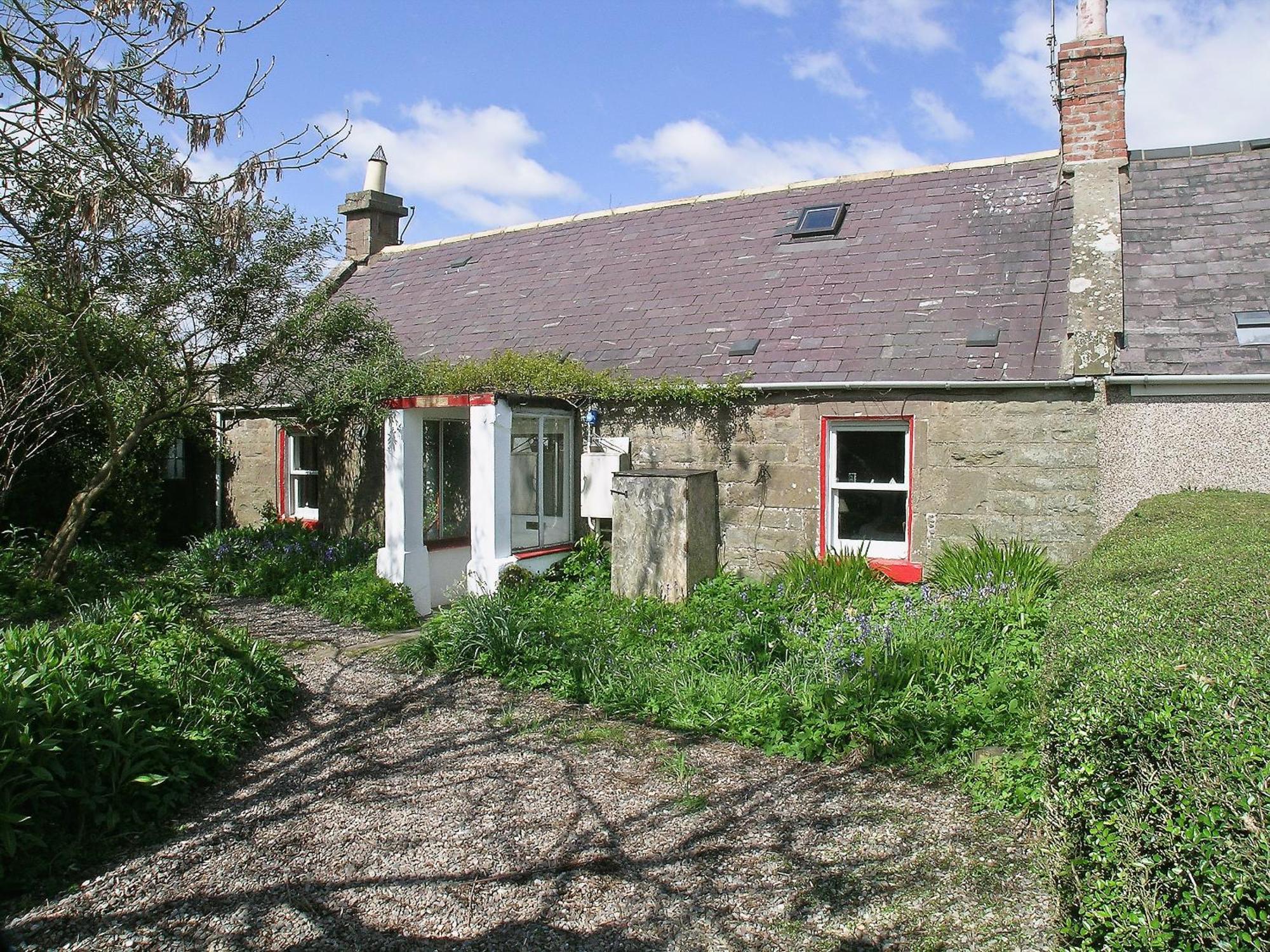 The Cottage Saint Cyrus Kültér fotó